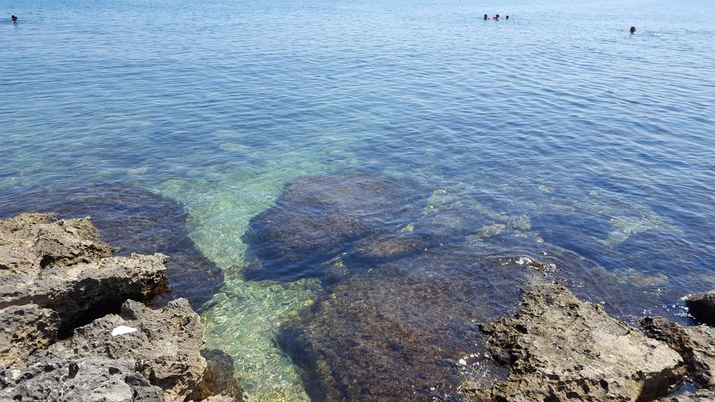 Villa Erry Trani Dış mekan fotoğraf